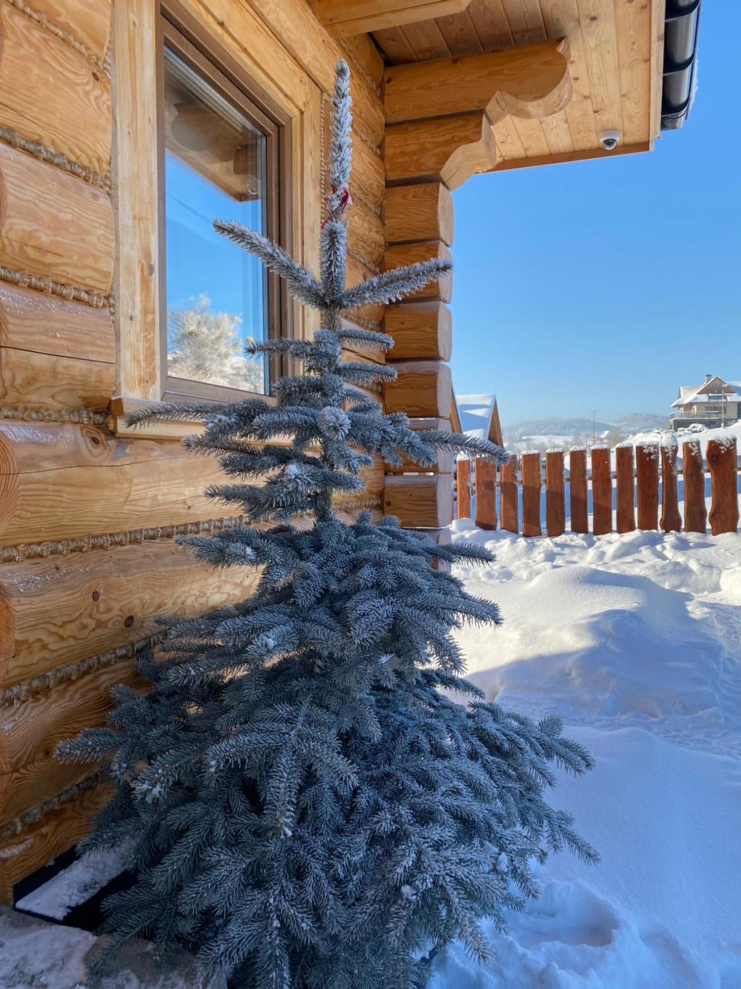איסטבנה Zloty Gron Log Houses & Apartments מראה חיצוני תמונה